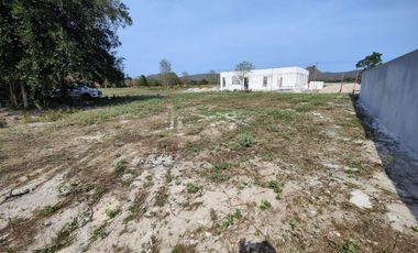 1-0-0 Rai | Square Shaped Home Plot!  Located Near Black Mountain Golf