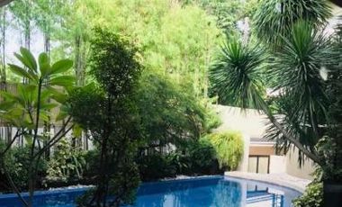 For Sale: House and Lot in Ayala Alabang, Muntinlupa City, P380M