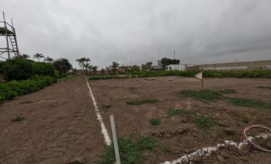 Venta de Lotes para Casas de Campo en Eco condominio en San Luis - Cañete