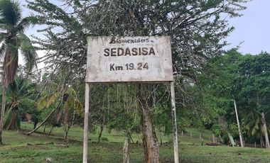 33 hectáreas en Sedasisa, Picota: terreno de relieve accidentado, ideal para agricultura y ganadería.