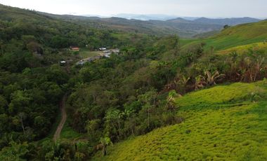 33 hectáreas en Sedasisa, Picota: terreno de relieve accidentado, ideal para agricultura y ganadería.