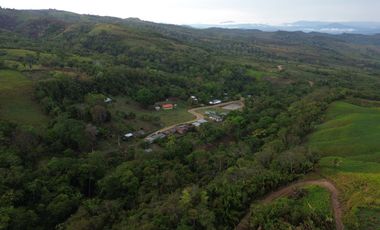 33 hectáreas en Sedasisa, Picota: terreno de relieve accidentado, ideal para agricultura y ganadería.