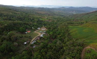 33 hectáreas en Sedasisa, Picota: terreno de relieve accidentado, ideal para agricultura y ganadería.