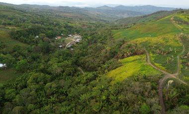 33 hectáreas en Sedasisa, Picota: terreno de relieve accidentado, ideal para agricultura y ganadería.