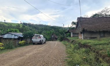 33 hectáreas en Sedasisa, Picota: terreno de relieve accidentado, ideal para agricultura y ganadería.