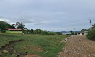 33 hectáreas en Sedasisa, Picota: terreno de relieve accidentado, ideal para agricultura y ganadería.