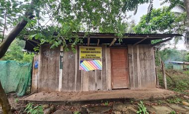 33 hectáreas en Sedasisa, Picota: terreno de relieve accidentado, ideal para agricultura y ganadería.