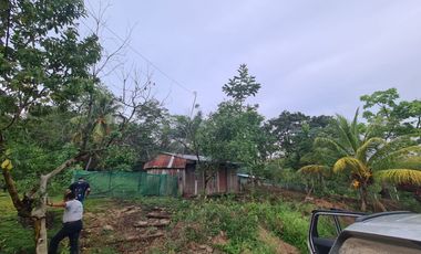 33 hectáreas en Sedasisa, Picota: terreno de relieve accidentado, ideal para agricultura y ganadería.