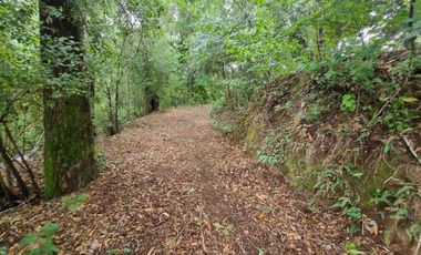 Casa con Acceso al Río Angachilla Sector Las Gaviotas