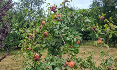 Casa con Acceso al Río Angachilla Sector Las Gaviotas