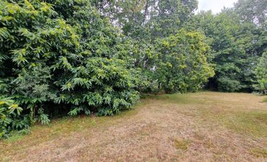 Casa con Acceso al Río Angachilla Sector Las Gaviotas
