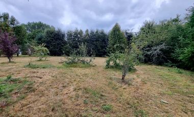 Casa con Acceso al Río Angachilla Sector Las Gaviotas