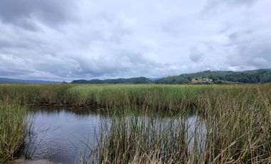 Casa con Acceso al Río Angachilla Sector Las Gaviotas