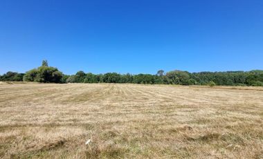 Loteo Isla Huape Sector Arique