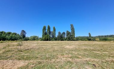 Loteo Isla Huape Sector Arique