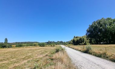 Loteo Isla Huape Sector Arique