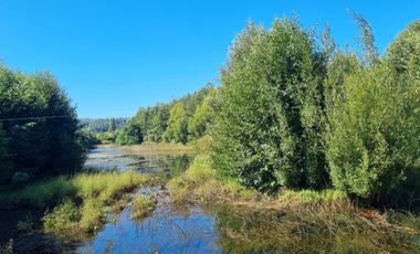 Loteo Isla Huape Sector Arique