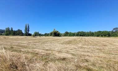 Loteo Isla Huape Sector Arique