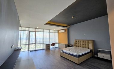 Exquisite 4BR Bi-Level Penthouse with Private Pool and Elevator at The Viridian, Greenhills