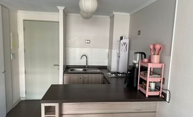 Vendo departamento Amoblado en Sector San Roque, 1 dormitorio 1 baño, UF 1750.