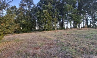 Parcela Loteo Alto Rebellin