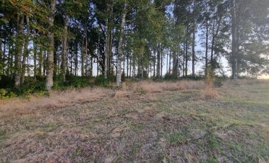 Parcela Loteo Alto Rebellin