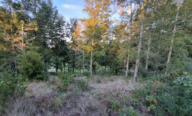 Parcela Loteo Alto Rebellin