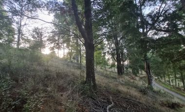 Parcela Loteo Alto Rebellin