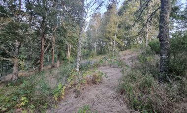 Parcela Loteo Alto Rebellin