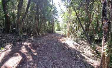 Hermosa Parcela Sector San Ignacio