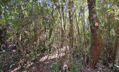 Hermosa Parcela Sector San Ignacio