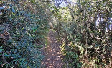 Hermosa Parcela Sector San Ignacio