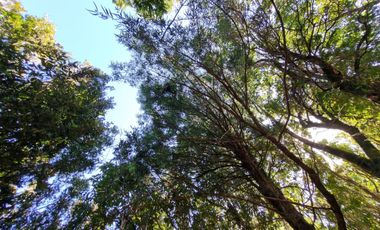 Hermosa Parcela Sector San Ignacio