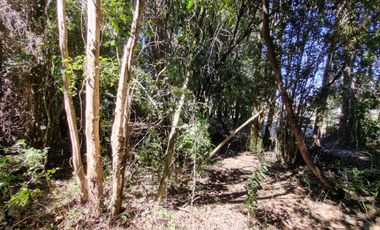 Hermosa Parcela Sector San Ignacio