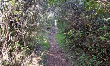 Hermosa Parcela Sector San Ignacio