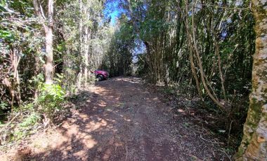 Hermosa Parcela Sector San Ignacio