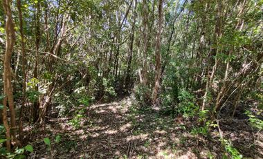 Hermosa Parcela Sector San Ignacio