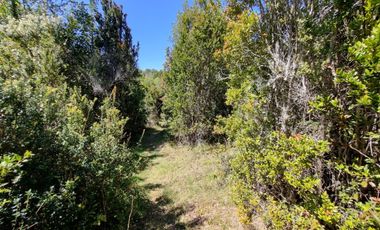 Hermosa Parcela Sector San Ignacio