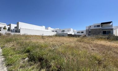 2 terrenos planos de 260 M2 c/u