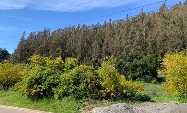 Terreno en Valle Mitrinhue