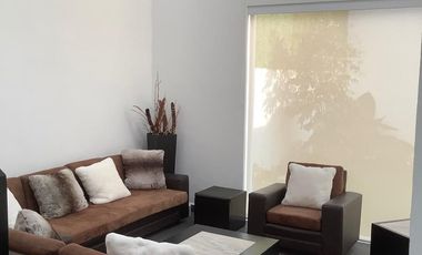 En la zona dorada de Cuernavaca