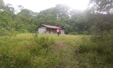 TERRENO DISTANCIADO PARAISO CON AGUA, VISTAS PASTOS, FRUTALES Y CASA