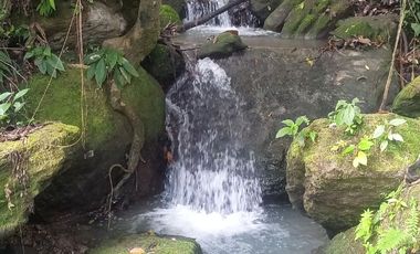 TERRENO DISTANCIADO PARAISO CON AGUA, VISTAS PASTOS, FRUTALES Y CASA