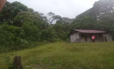 TERRENO DISTANCIADO PARAISO CON AGUA, VISTAS PASTOS, FRUTALES Y CASA
