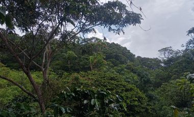 TERRENO DISTANCIADO PARAISO CON AGUA, VISTAS PASTOS, FRUTALES Y CASA