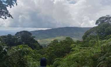 TERRENO DISTANCIADO PARAISO CON AGUA, VISTAS PASTOS, FRUTALES Y CASA