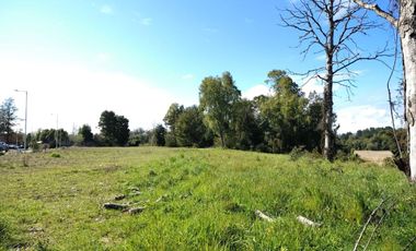 Sitios Aromos de Torobayo a 6.km Valdivia, desde 3.900 UF