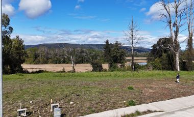 Sitios Aromos de Torobayo a 6.km Valdivia, desde 3.900 UF