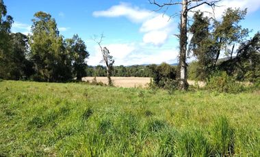 Sitios Aromos de Torobayo a 6.km Valdivia, desde 3.900 UF