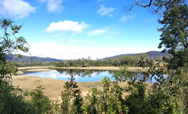 Sitios Aromos de Torobayo a 6.km Valdivia, desde 3.900 UF